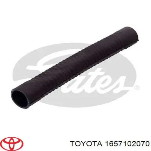 1657102070 Toyota tubería de radiador arriba