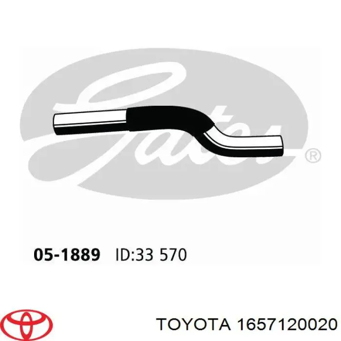 Manguera de radiador arriba para Toyota Camry (V20)