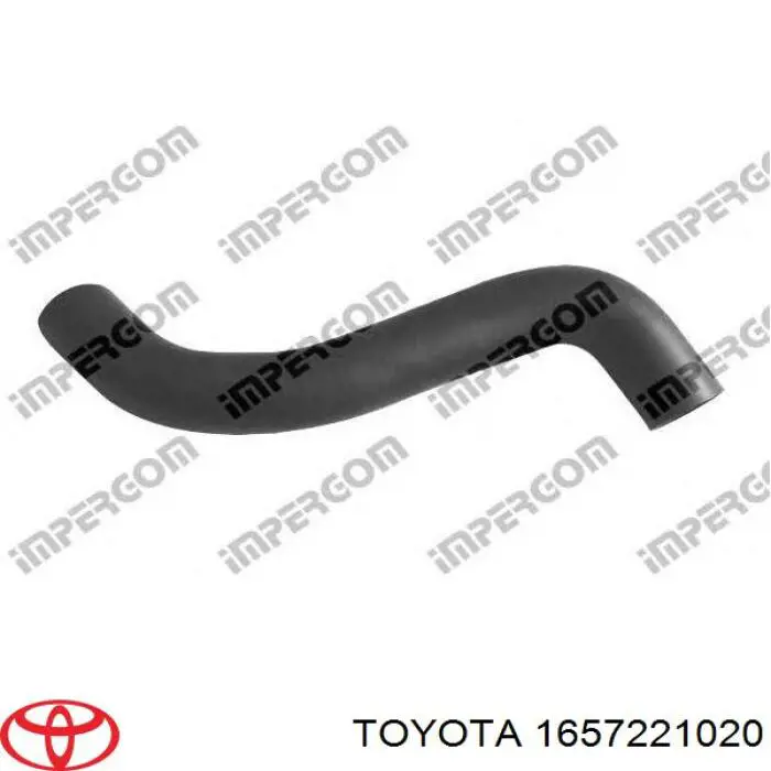 Manguera refrigerante para radiador inferiora para Toyota Yaris (P10)