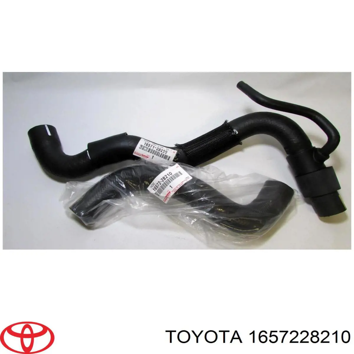 Manguera refrigerante para radiador inferiora para Toyota RAV4 