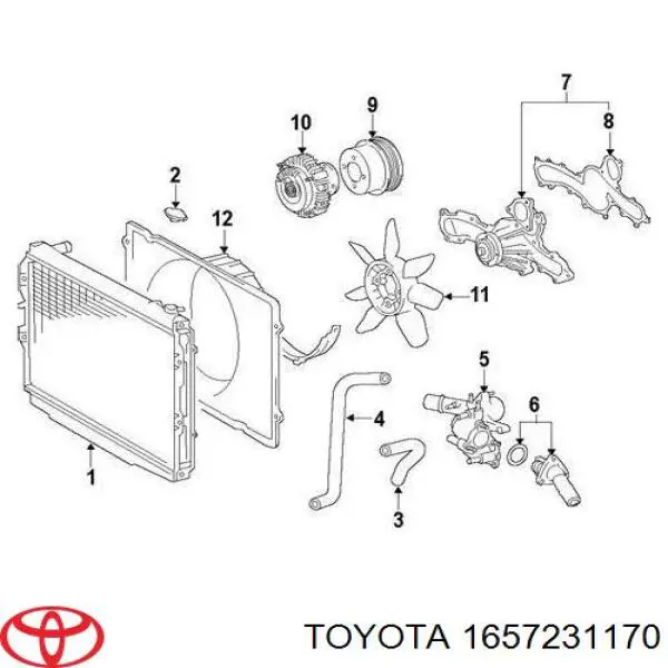 Manguera inferior del radiador Toyota 1657231170 precio, desde 27,46 EUR