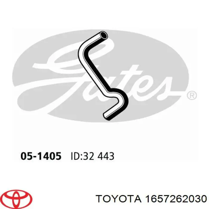 Manguera de radiador arriba para Toyota Camry (V10)