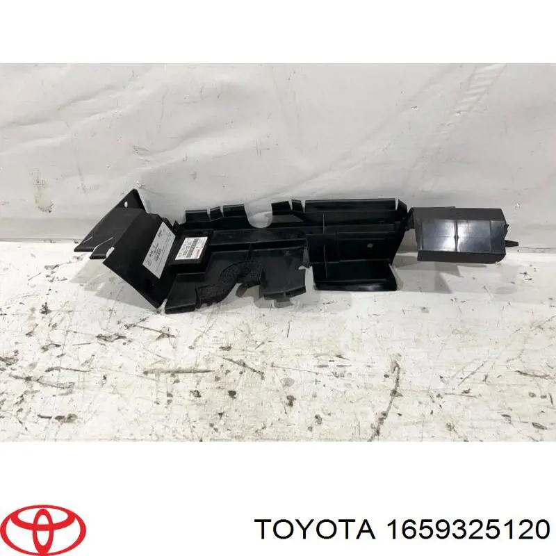 Deflector de aire, radiador, derecho para Toyota RAV4 (A5)