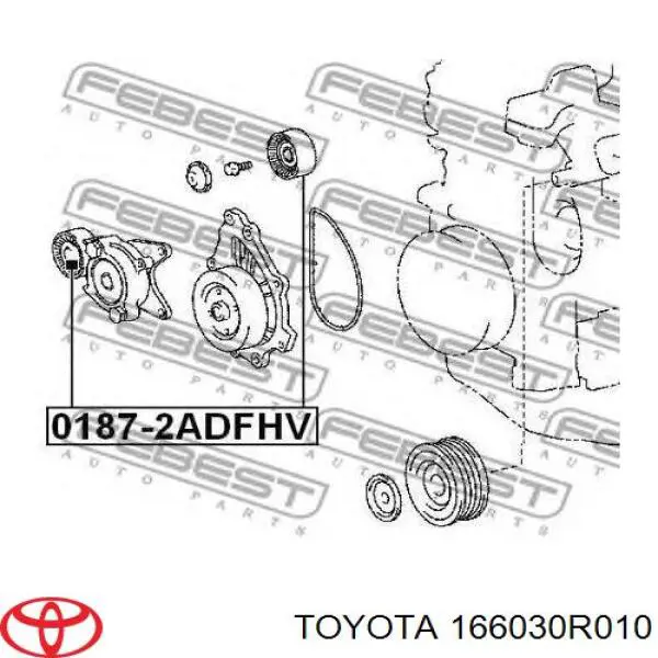 Polea inversión/guía, correa auxiliar servicios Toyota 166030R010 precio, desde 25,00 EUR