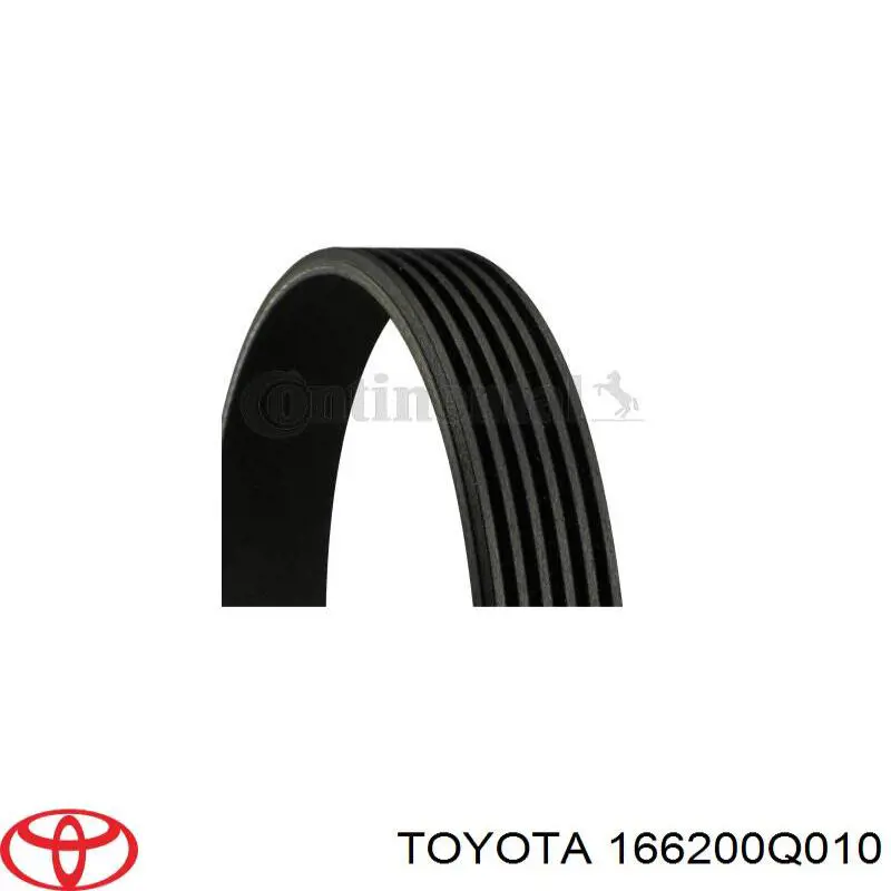 Tensor de la correa trapecial SNR GA35933 precio, desde 56,76 EUR