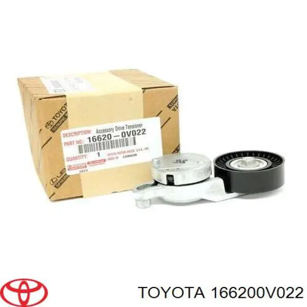 166200V022 Toyota tensor de correa, correa poli v