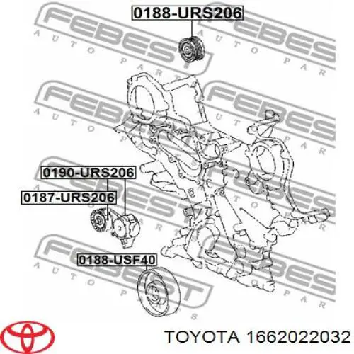 1662022032 Toyota tensor de correa, correa poli v