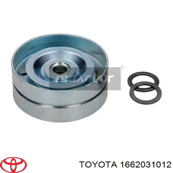 Comprar 1662031012 Toyota Tensor de correa poli V 