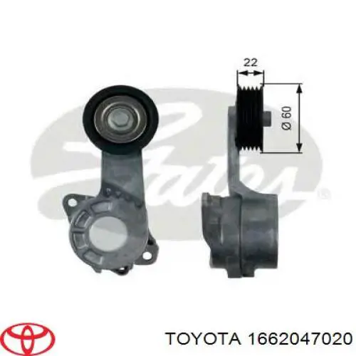 Tensor de la correa trapecial SNR GA36906 precio, desde 28,95 EUR