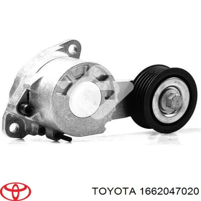 Tensor de correa poli V GA36906 SNR