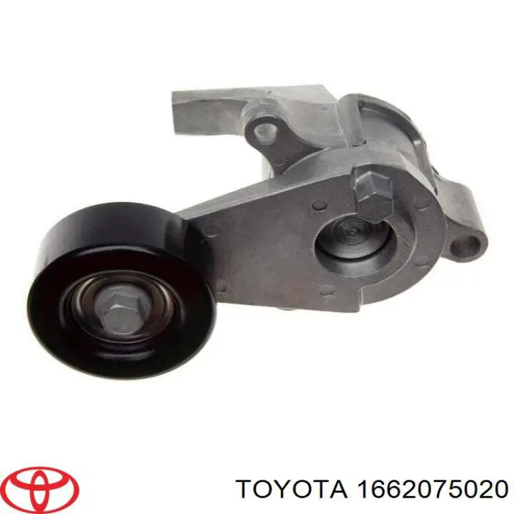 Tensor de correa accesorios AND 32903007 precio, desde 46,53 EUR