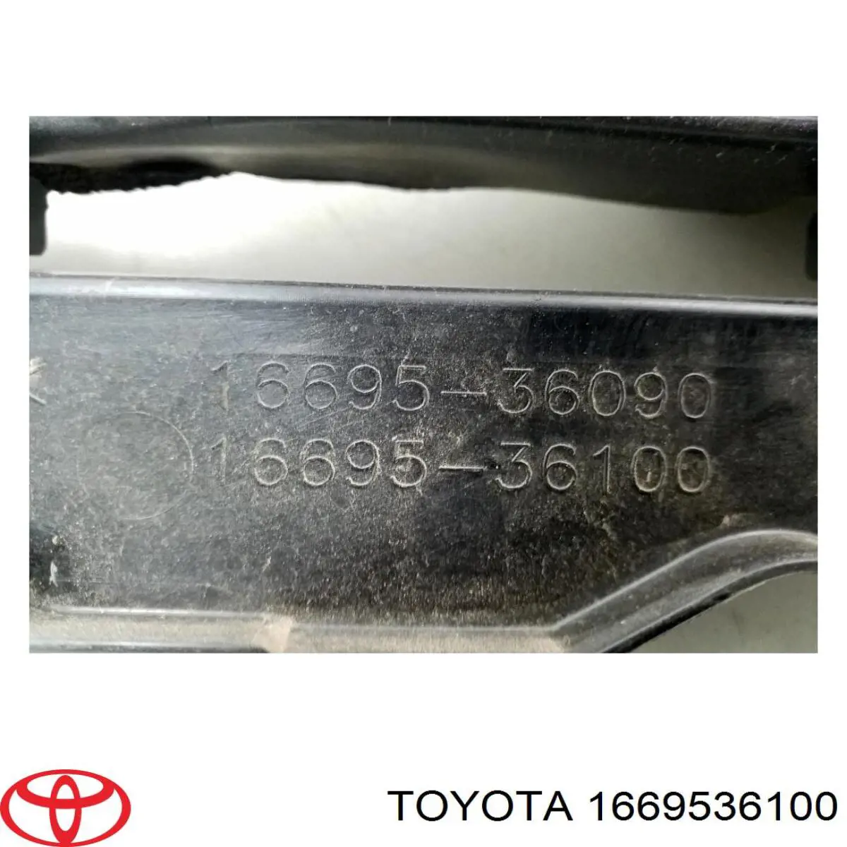 1669536100 Toyota