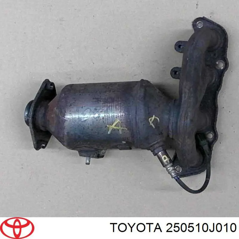 Comprar 250510J010 Toyota Catalizador