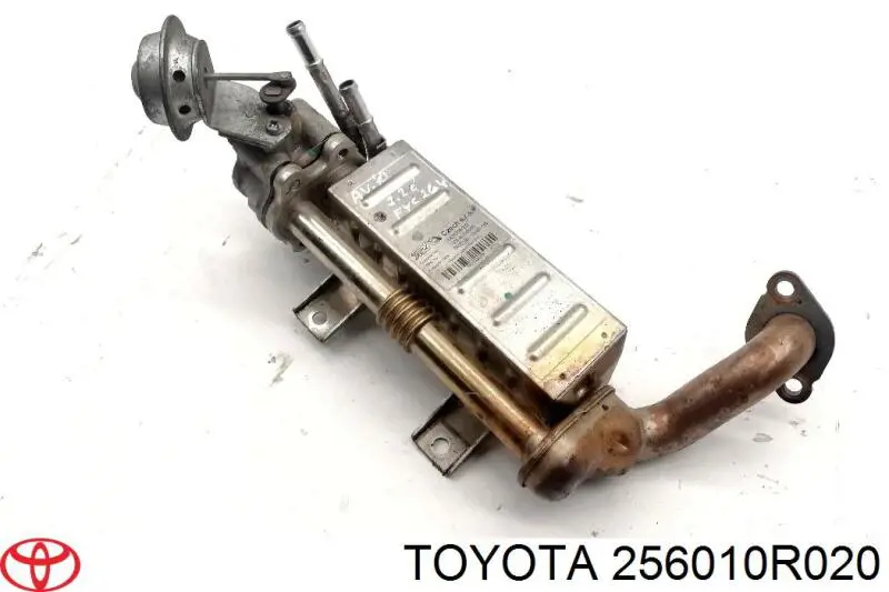 Enfriador de recirculación de gases de escape EGR Toyota 256010R020 precio, desde 207,64 EUR