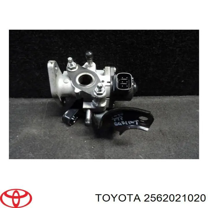 2562021020 Toyota válvula, agr