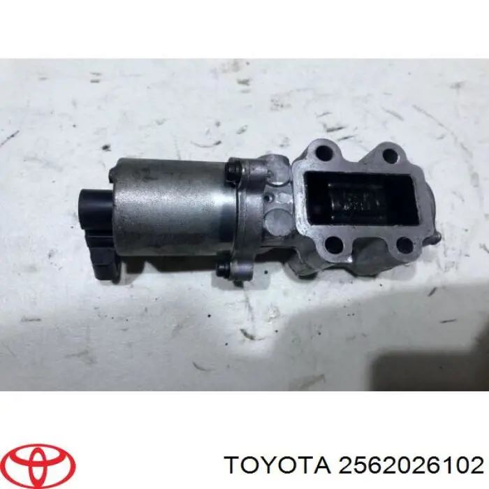 2562026102 Toyota Válvula EGR