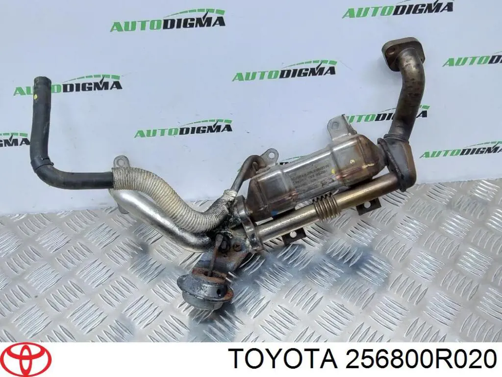 Enfriador EGR de recirculación de gases de escape para Toyota Avensis (T25)