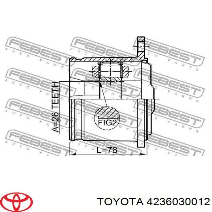 4236030012 Toyota junta homocinética interior trasera