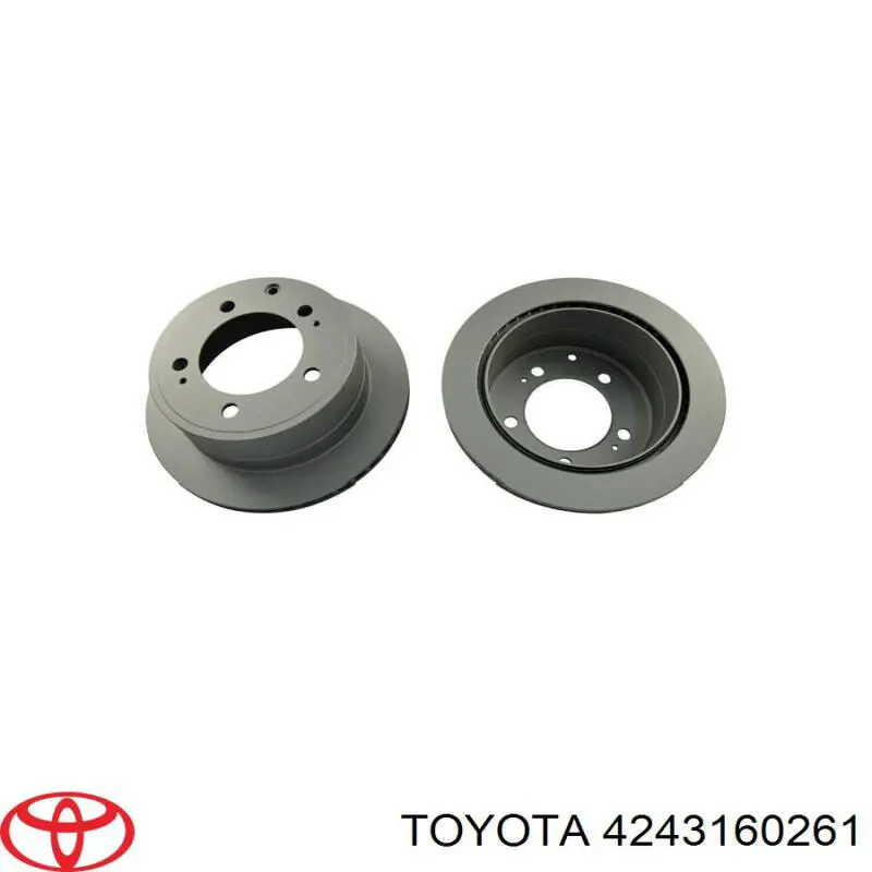 Disco de freno trasero Japan Parts DP260C precio, desde 143,87 EUR