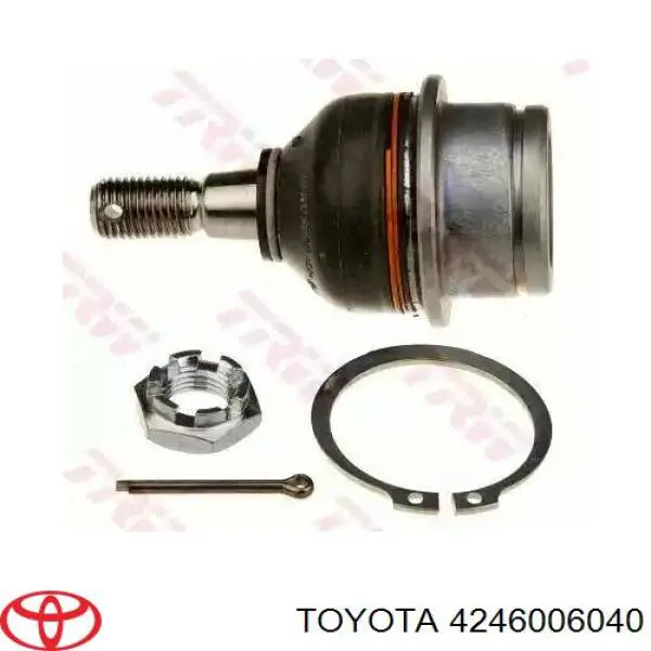 4246006040 Toyota cubo trasero izquierdo