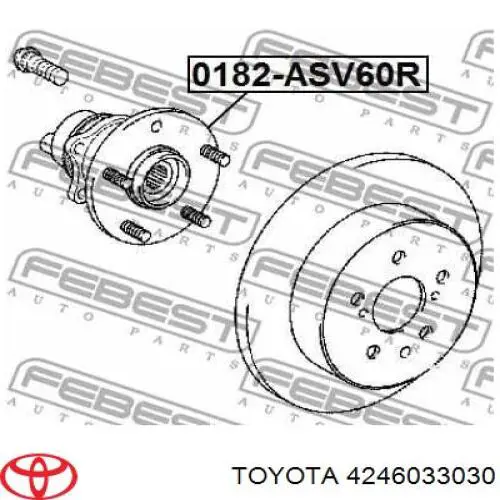 4246033030 Toyota Cubo de rueda trasero izquierdo