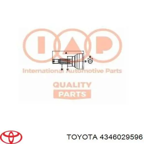 4346029596 Toyota junta homocinética exterior delantera