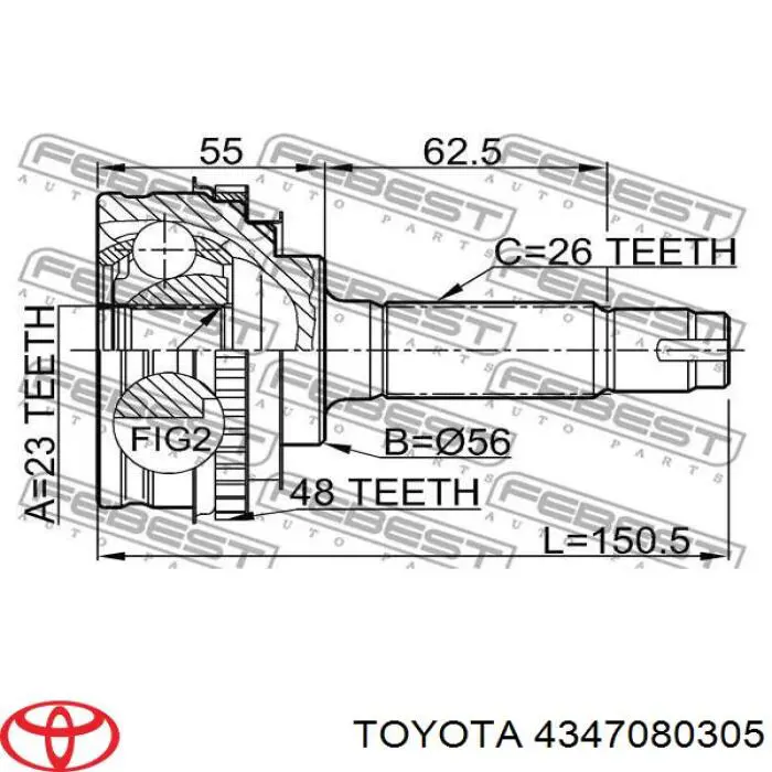 4347080305 Toyota junta homocinética exterior delantera