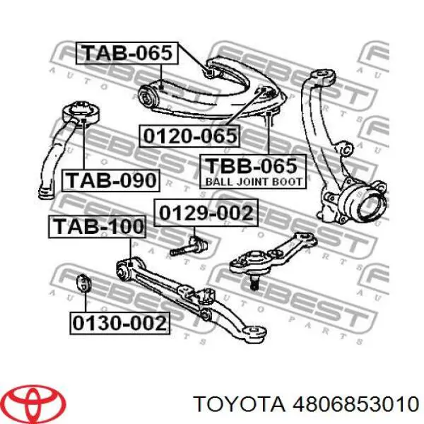 Barra oscilante, suspensión de ruedas delantera, inferior derecha Lexus IS E1