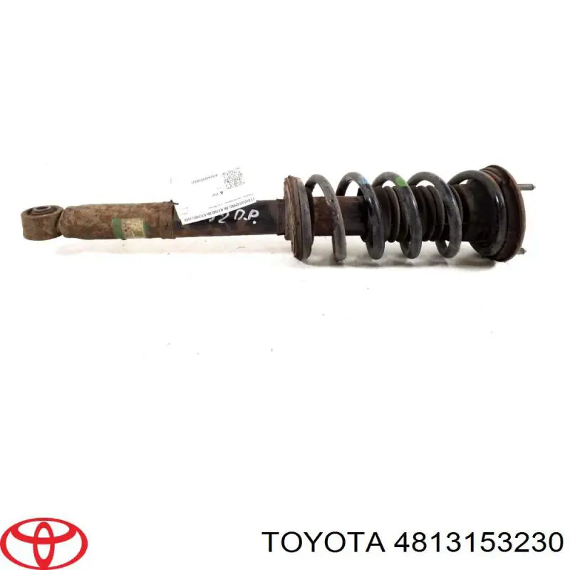 4813153230 Toyota muelle de suspensión eje delantero