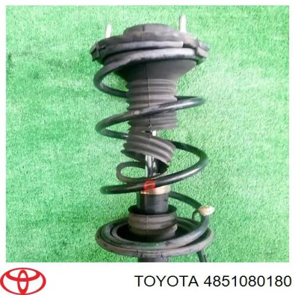 4851080180 Toyota amortiguador delantero derecho