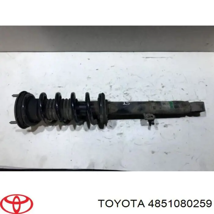Comprar 4851080259 Toyota Amortiguador delantero derecho