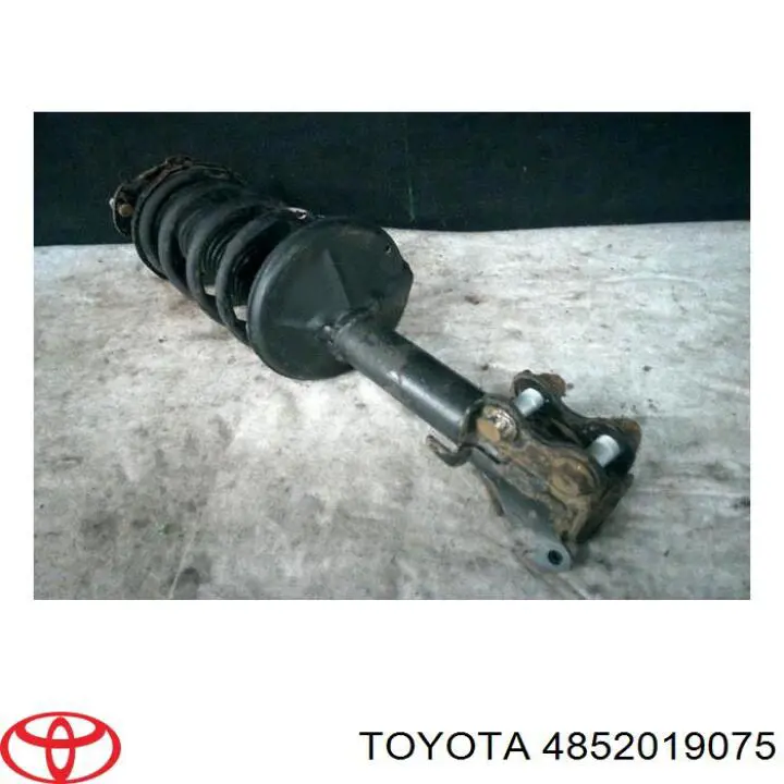 4852019075 Toyota amortiguador delantero izquierdo