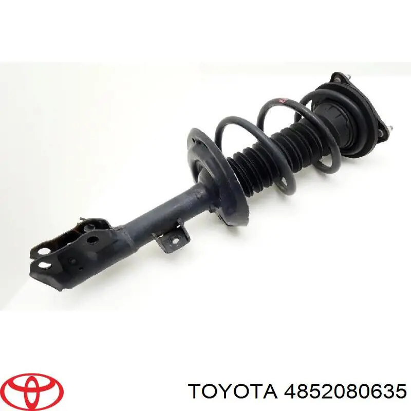 Amortiguador eje delantero izquierda para Toyota RAV4 (A5)