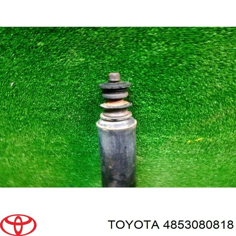 4853080818 Toyota Amortiguadores posteriores