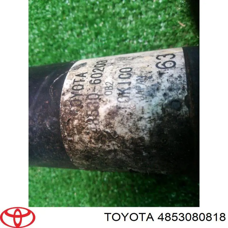 Comprar 4853080818 Toyota Amortiguador trasero