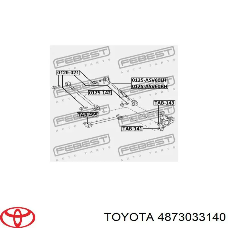 0125-ASV60RH Febest brazo de suspension trasera derecha