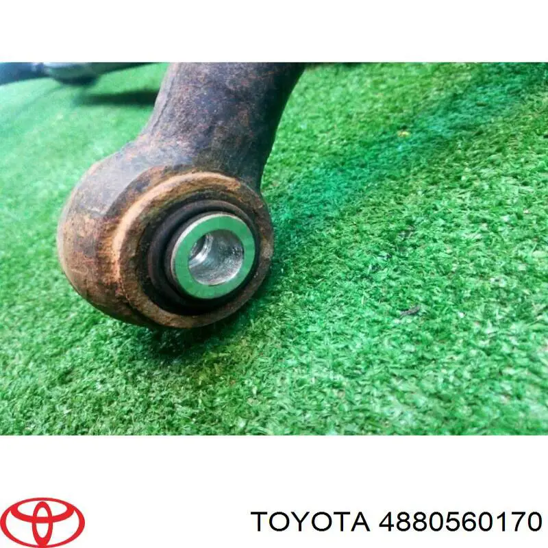 Estabilizador trasero 4880560170 Toyota