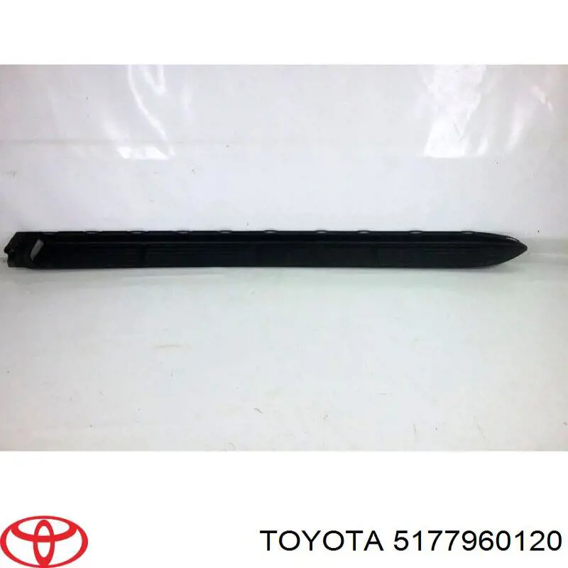 Cubierta de estribo Toyota 5177960120 precio, desde 113,69 EUR