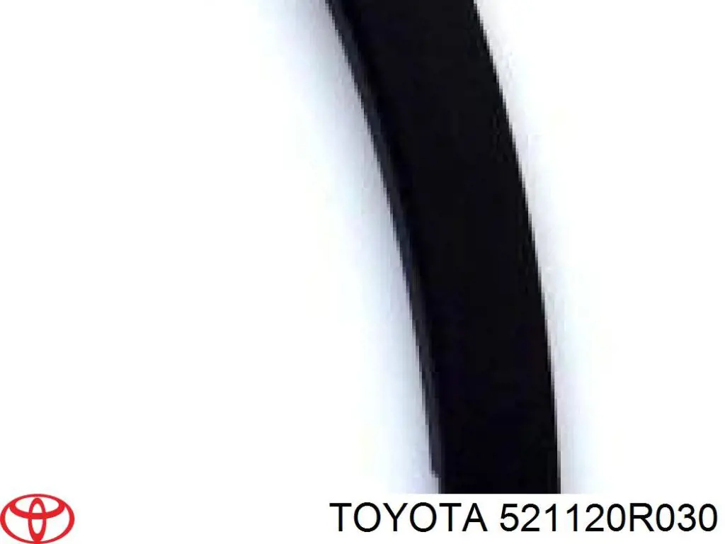 Listón embellecedor/protector, paragolpes delantero derecho para Toyota RAV4 (A4)