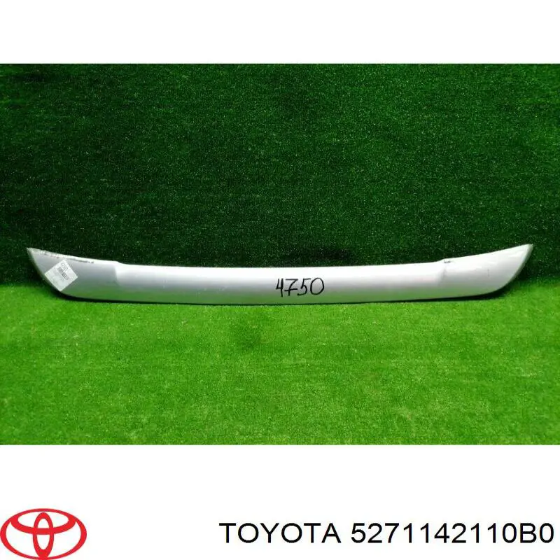 Moldura de parachoques delantero para Toyota RAV4 (A4)