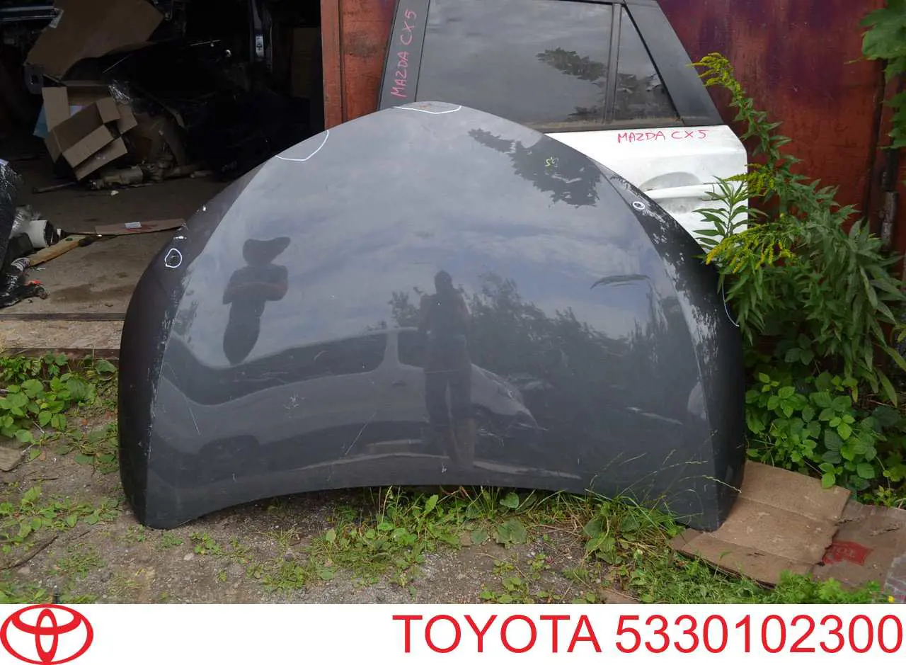 Capó del motor Toyota 5330102300 precio, desde 190,73 EUR