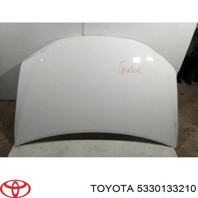 Comprar 5330133210 Toyota Capó