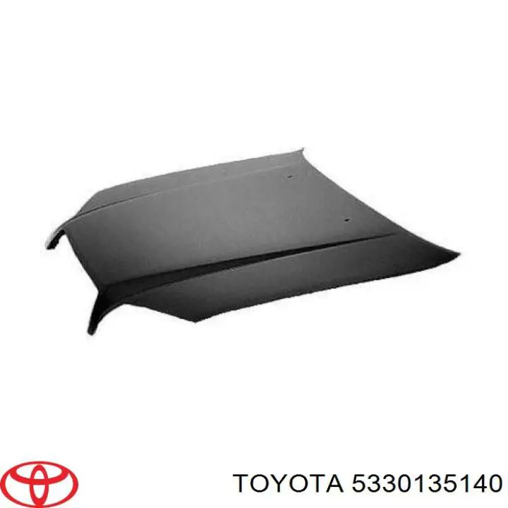 Capot para Toyota 4Runner (GRN21, UZN21)