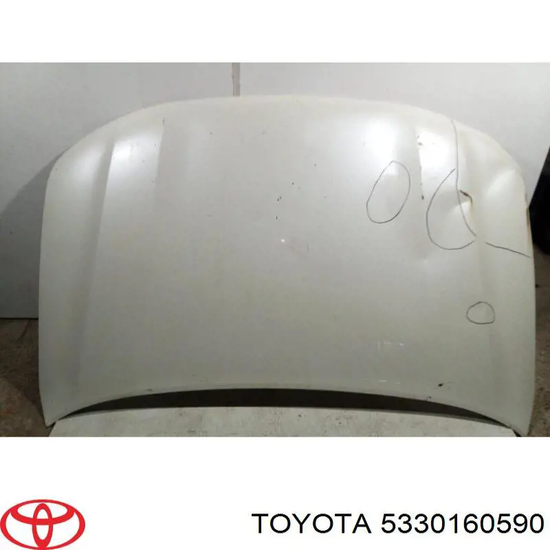 5330160590 Toyota capó del motor