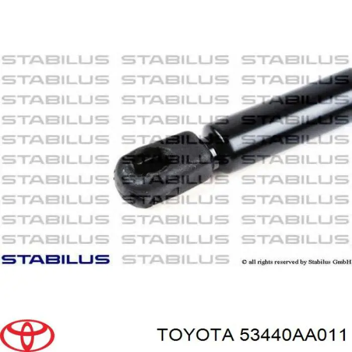 Muelle neumático, tapa delantera para Toyota Camry (V30)