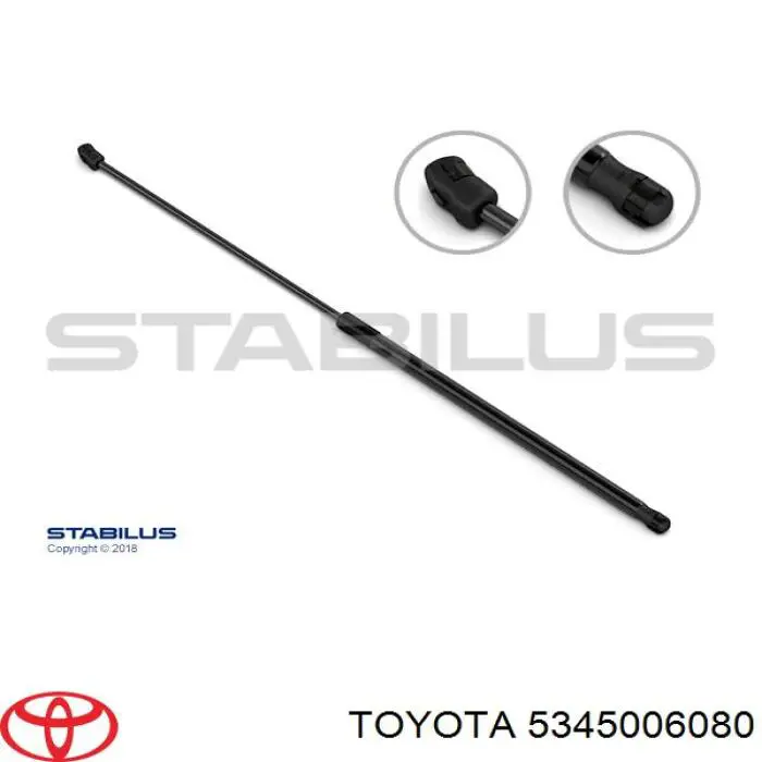 5345006080 Toyota muelle neumático, capó de motor izquierdo