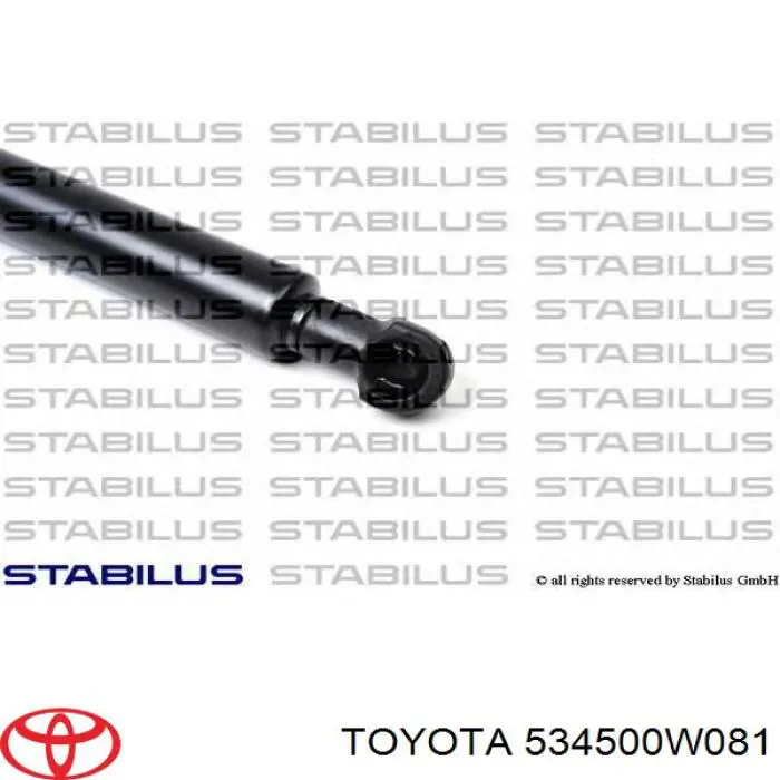 534500W081 Toyota muelle neumático, capó de motor izquierdo