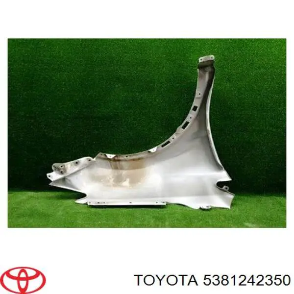 Guardabarros delantero izquierdo para Toyota RAV4 (A4)