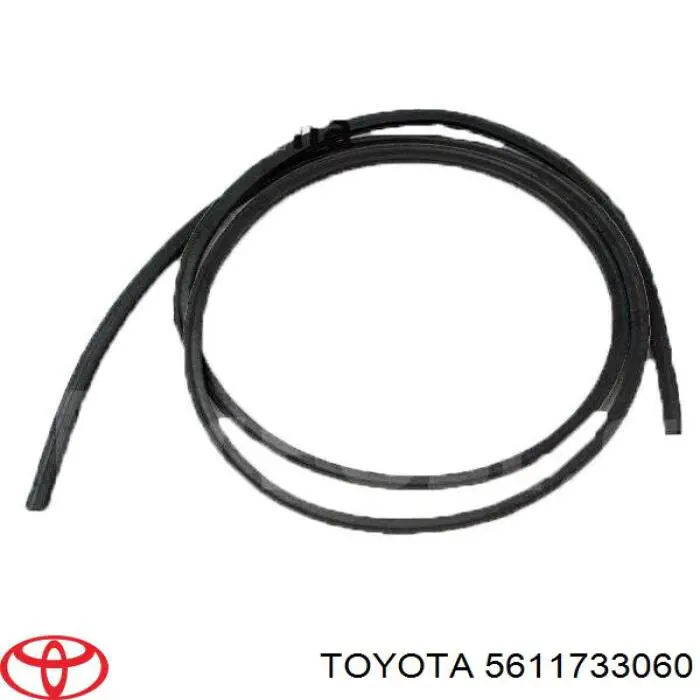 Junta, parabrisas para Toyota Camry (V30)