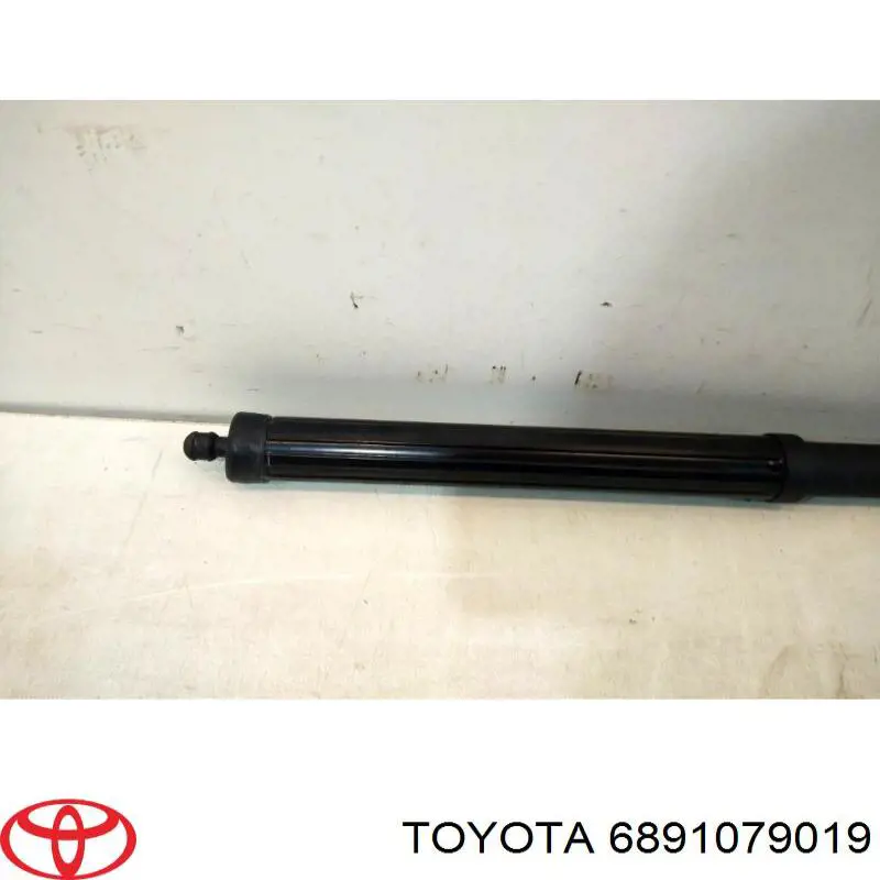 6891079019 Toyota